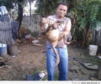 /album/fotografii-amuzante/a47638-513047238735587-1028236193-n-jpg/