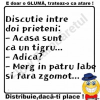 /album/fotografii-amuzante/bancuri-acasa-sunt-ca-un-tigru-jpg/