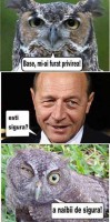/album/fotografii-amuzante/poze-haioase-cu-politicieni-basescu-bufnita-privir-jpg/