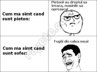 /album/fotografii-amuzante/a185149-204035043061504-1545740671-n-jpg/