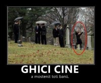 /album/fotografii-amuzante/a540889-215804835217858-1736373952-n-jpg/