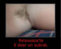 /album/fotografii-amuzante/a603385-198359023629106-2018944381-n-jpg/