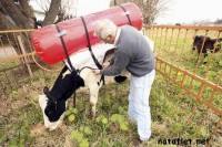 /album/fotografii-amuzante/amuzante3-jpg/